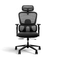 Frido AeroMesh Ergo Chair