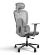 Frido AeroMesh Ergo Chair