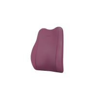Frido Premium Car Back Rest Cushion