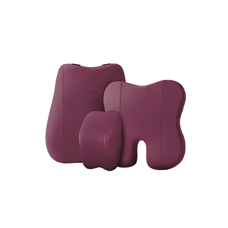 Frido Premium Car Comfort Bundle