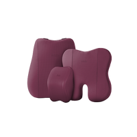 Frido Premium Car Comfort Bundle