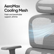 Frido AeroMesh Ergo Chair