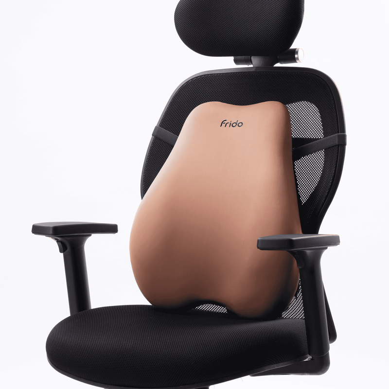 Frido Cloud Backrest Cushion