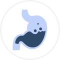 Helps Reduce Acid Reflux/GERD
