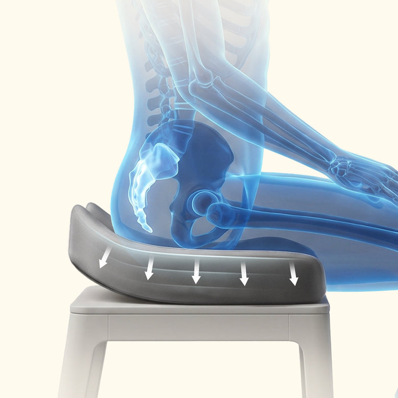 XL Seat Coverage That Distributes Weight More Evenly