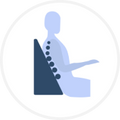 Back/Neck/Shoulder Support