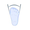 Broad toe box allows wide toe Spread