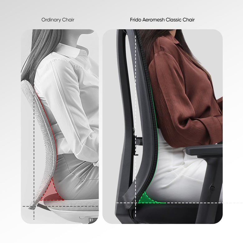 Natural Contoured Back Support with Adaptive Mesh
