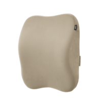 Frido Ultimate Car Neck Rest Pillow