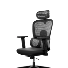 Frido AeroMesh Ergo Chair
