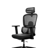 Frido AeroMesh Ergo Chair