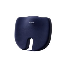 Frido Ultimate Tailbone Pain Relief Seat Cushion