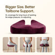 Frido XL Coccyx Seat Cushion