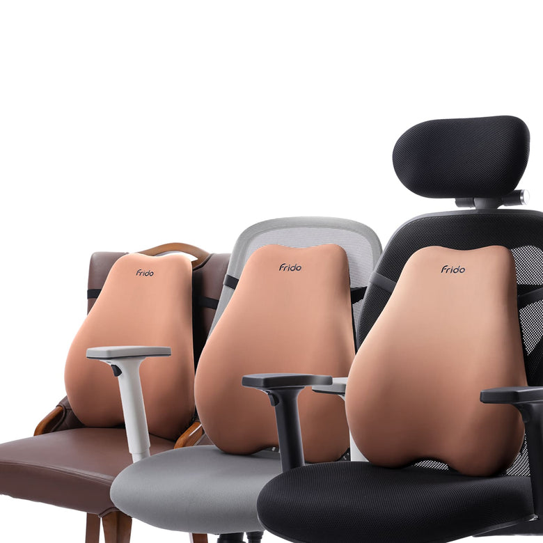 Every Chair’s Back Support Upgrade