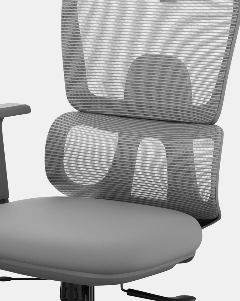 DualArc Lumbar Support