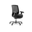 Frido Embrace Ergo Chair