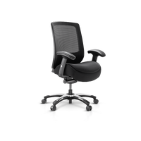Frido Embrace Ergo Chair