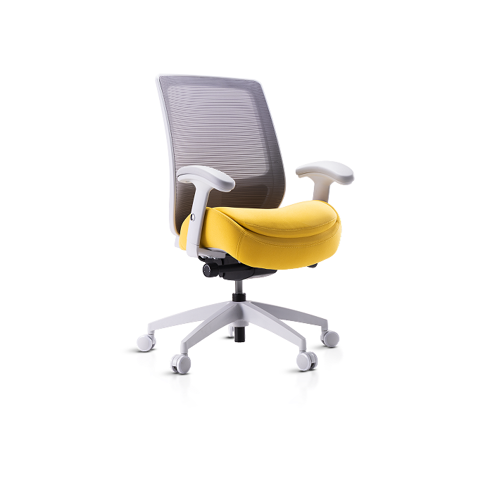 Frido Embrace Ergo Chair