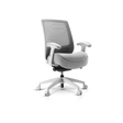 Frido Embrace Ergo Chair