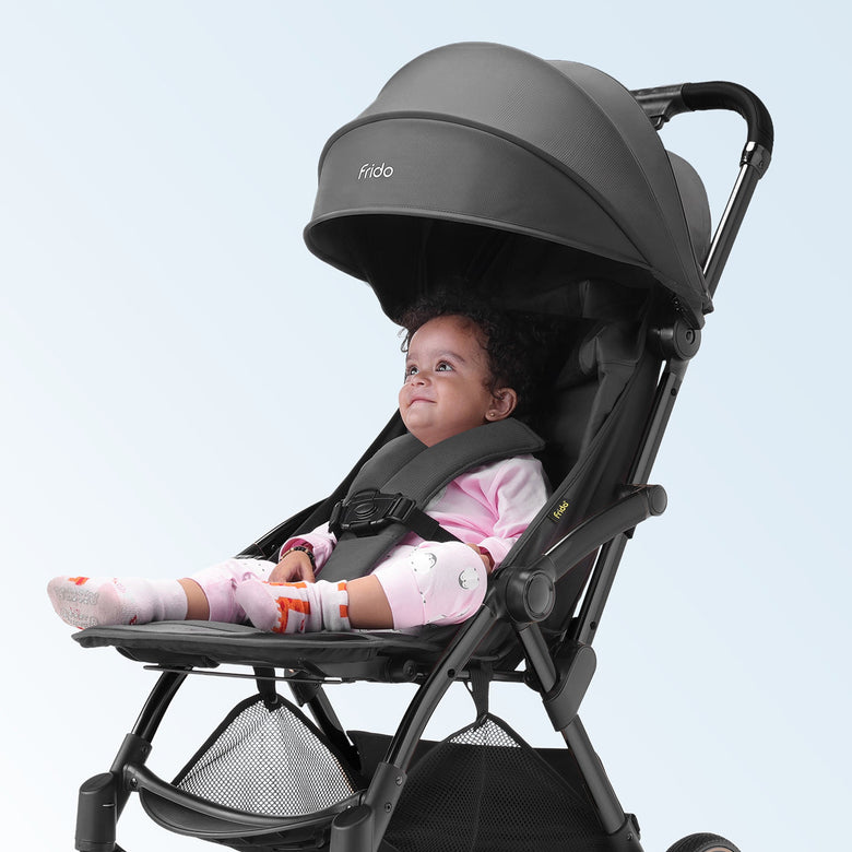 5-Point Safety Harness That Holds Securely