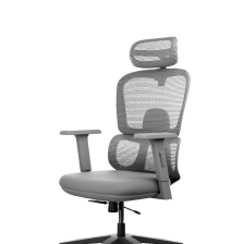 Frido AeroMesh Ergo Chair