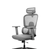 Frido AeroMesh Ergo Chair