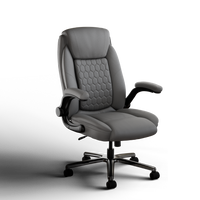 Frido 3D Posture Plus Ergonomic Chair