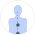 Improved posture and lumbar support