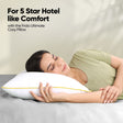 Frido Ultimate Cozy Classic Pillow