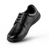 Frido Comfort Formal Shoes