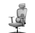 Frido AeroMesh Ergo Chair