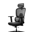 Frido AeroMesh Ergo Chair